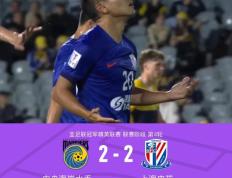 华体会-关于转折点上海申花再遭质疑，亚冠冲刺阶段攻防权衡，悬念犹存，赛程密集仍需轮换的信息