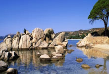 HTH- 巴黎胜日耳曼 